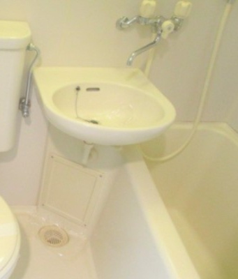 相模原市南区新磯野１丁目の賃貸マンションの洗面所