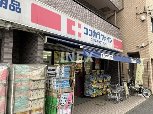 横浜市南区南太田４丁目の賃貸マンションの周辺|ココカラファインまで500m