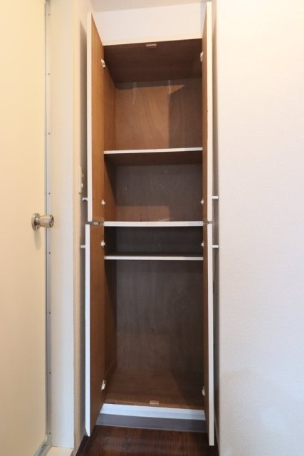 靴入