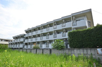 外観は落ち着いています