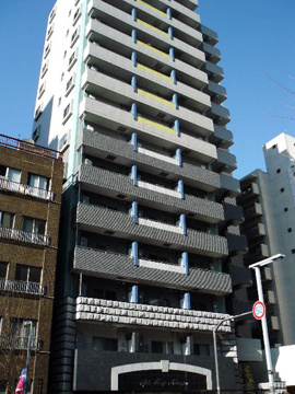 ガラ・グランディ西新宿の外観|ガラ・グランディ西新宿：ペット飼育可能なマンションです！