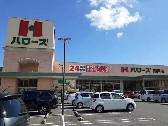 レジデンス寺地の周辺|ハローズさんまで900m