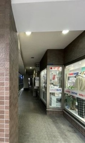 柏市柏２丁目の賃貸マンションのエントランス