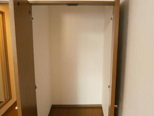 柏市柏２丁目の賃貸マンションの収納|※別部屋参考写真