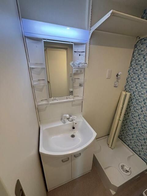 ハーモニーテラス蓮根Ⅳの洗面所