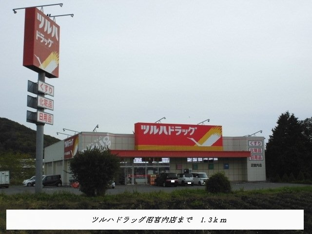 ガーデニアＢの周辺|ツルハドラッグ沼宮内店まで1300m