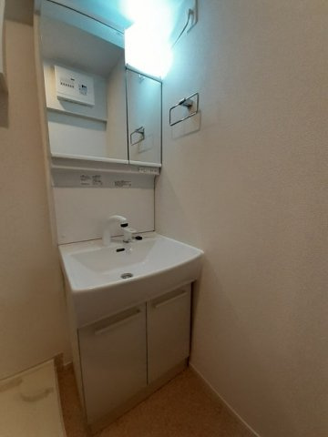 ソフィアフルールⅡの洗面所