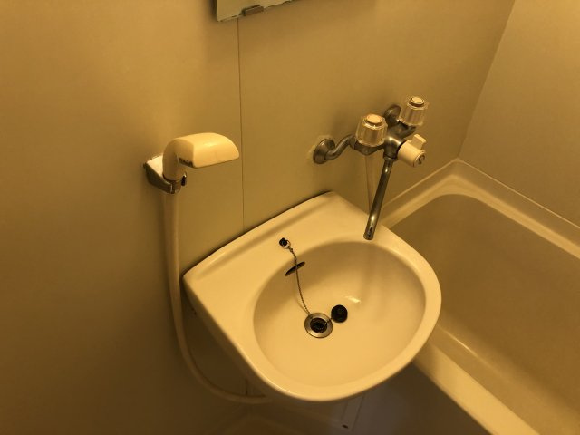 レスポワール新小岩の洗面所