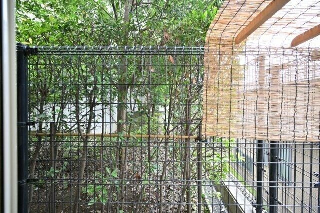 なしのきの展望