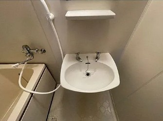 コスタル杉田の洗面所