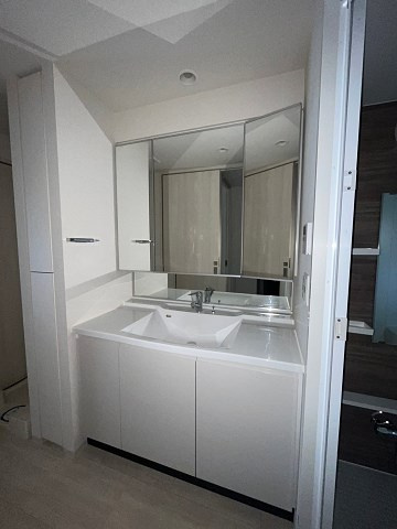 OPUS RESIDENCE SHINSAIBASHI SOUTHの洗面所
