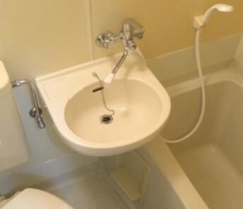 エクセレント鴨居の洗面所