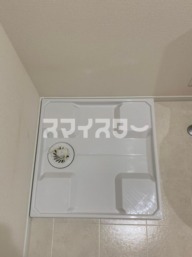 ルーチェ国立のその他