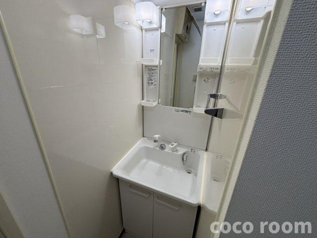 サルバス五ケ堀之内の洗面所