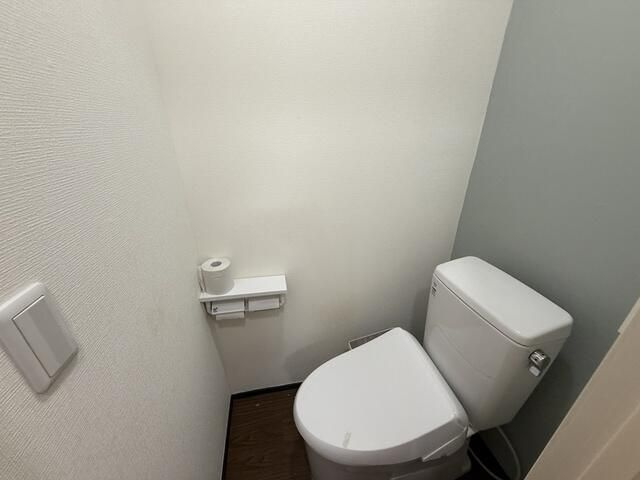メゾン湊のトイレ