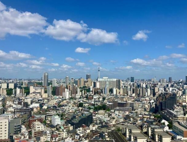 【展望】