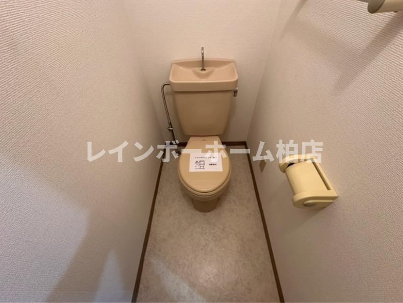 特典：仲介手数料が無料です!!のトイレ|落ち着いた色調のトイレです