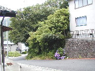 下田市　太陽苑の外観