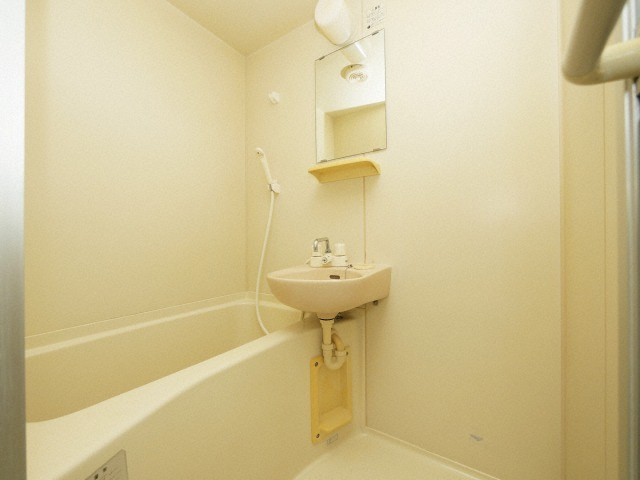 シティライフエステート難波南の洗面所