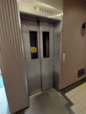  | プライムエレガンス