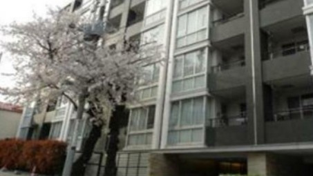 ルネ品川中延(ルネシナガワナカノブ)のエントランス