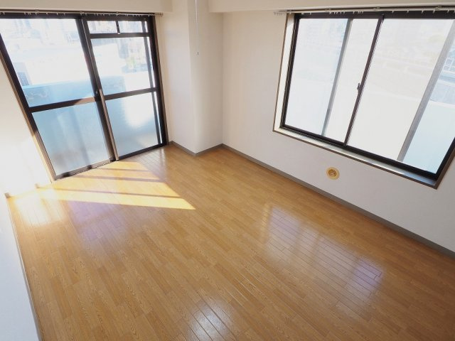 アストラルヤマナカのその他