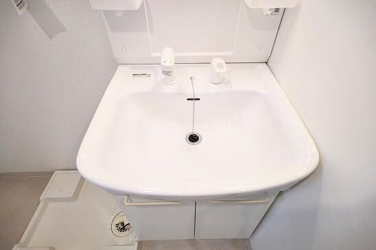 メゾンドハラドゥの洗面所