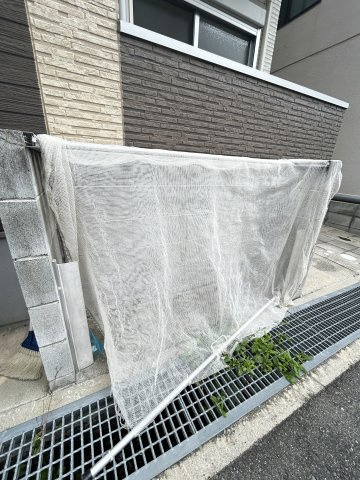 A.山法師のその他
