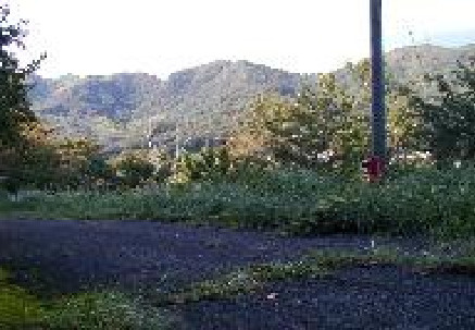 下田市　門川
