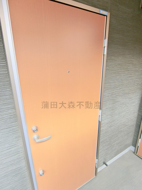ウェルスクエア下丸子SOUTHの玄関