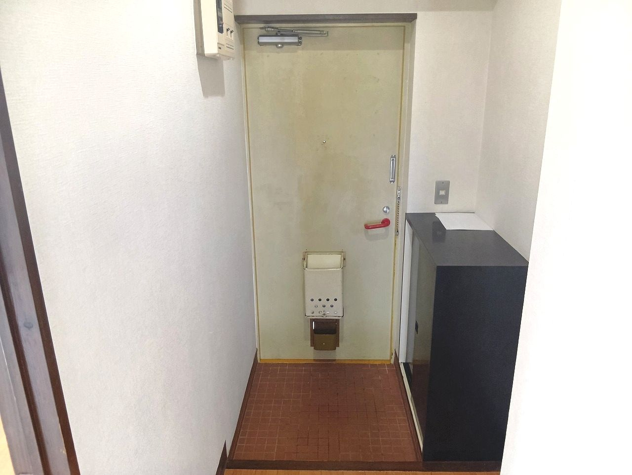 高知市百石町２丁目の賃貸マンションの玄関|収納もある玄関です