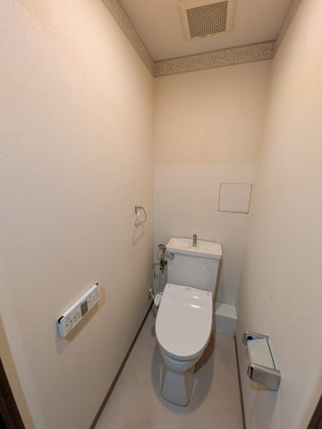 桃花台パークヒルズ五番館のトイレ|落ち着いたトイレです