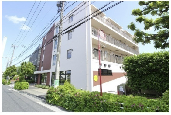 Milebel chitosedai