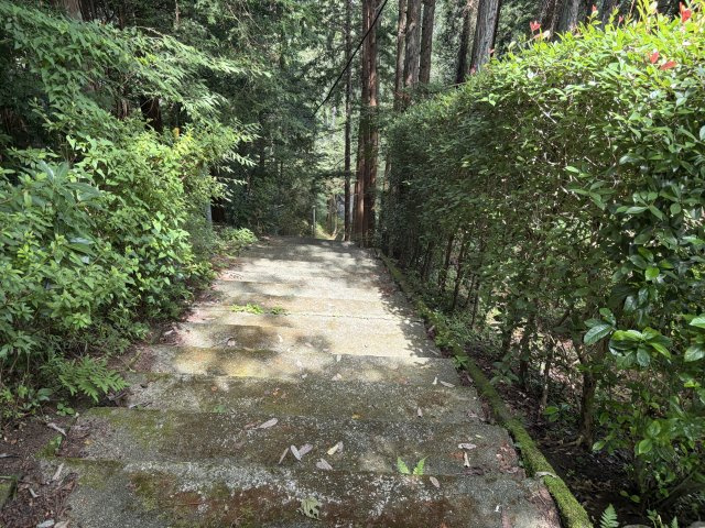 函南町　南箱根ダイヤランドの前面道路含む現地写真|物件まで続く階段