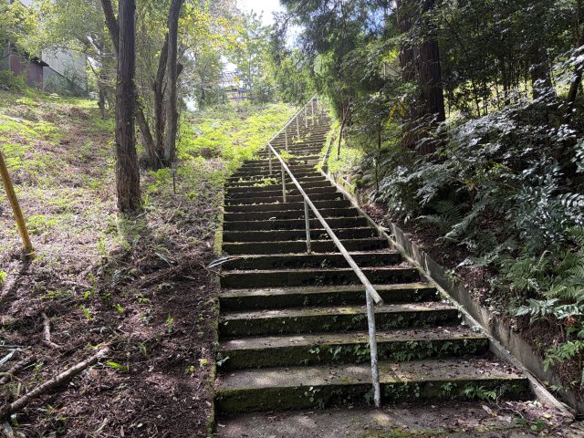 函南町　南箱根ダイヤランドの前面道路含む現地写真|物件まで続く階段