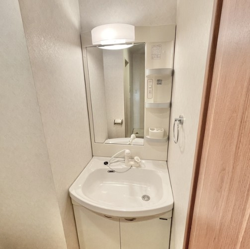 さいたま市浦和区上木崎１丁目の賃貸マンションの洗面所|別部屋参考写真となります