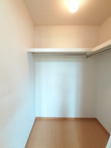 オリーブの収納