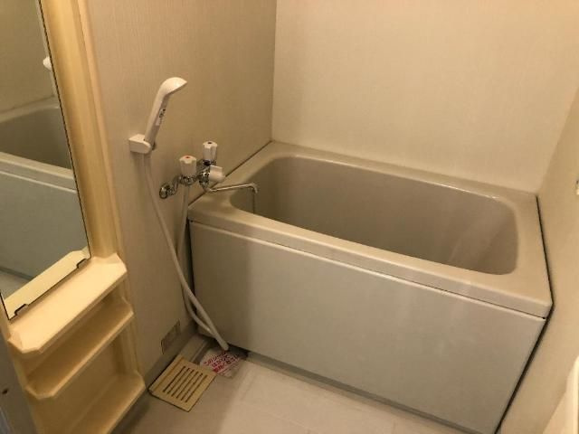 エコシャトレ　２０１の浴室
