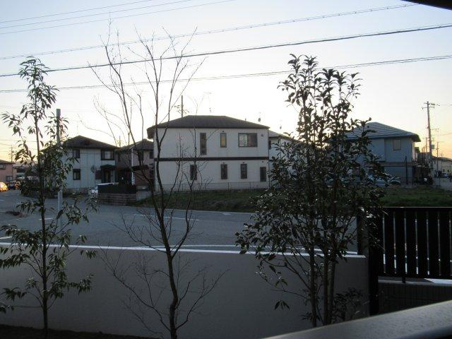 Blue Grassの展望