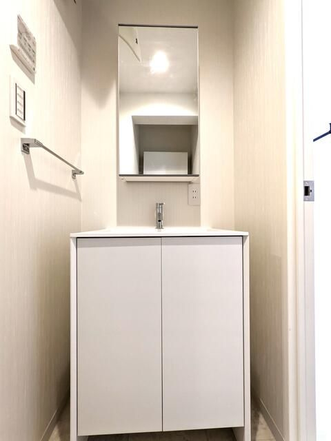 プラティーク品川大井町の洗面所