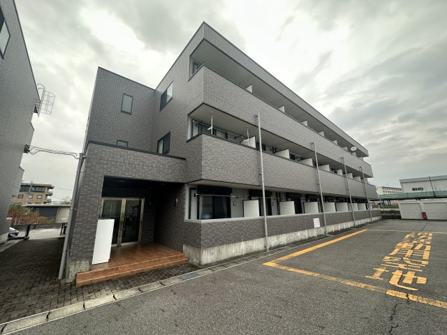 アンプルール フェールM’sⅡ 