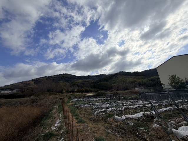 和歌山市禰宜・中古戸建・54818のその他