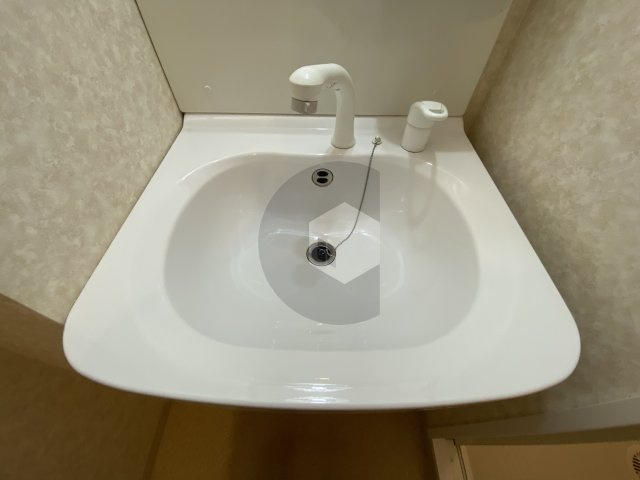 LUXE長田の洗面所