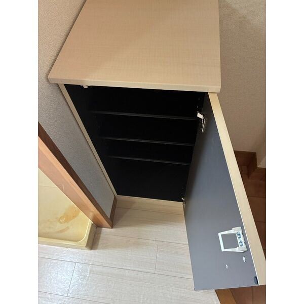 サープラスヴェルデⅡの玄関