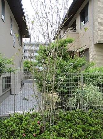 Garden Avenue　Aのその他