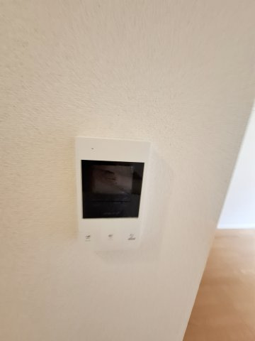 SOL.LEVANTE,Ⅹのセキュリティ