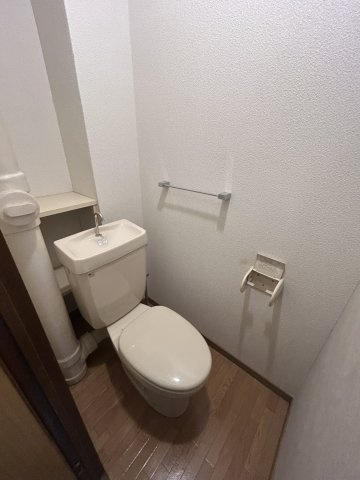 ハイデルベルクのトイレ