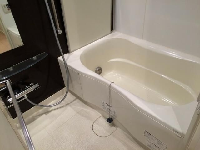 ラコント新宿セントラルパークアパートメントの浴室