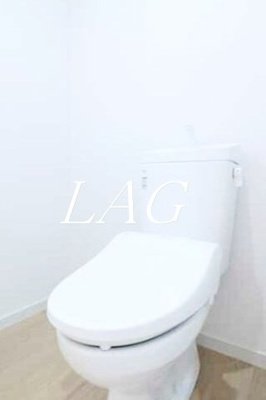 【トイレ】 | ルミエール　ドレ　西巣鴨 | トイレです。