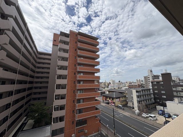 マンションニューヨーク医大東の展望
